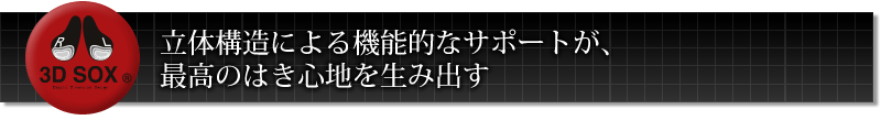 立体構造による機能的なサポートが最高のはき心地を生み出す3D SOX